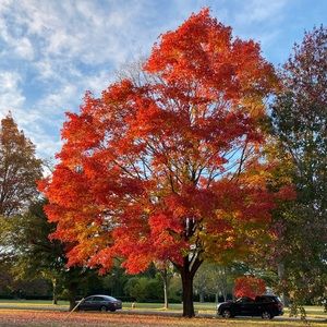 Meet your Posher, Benny